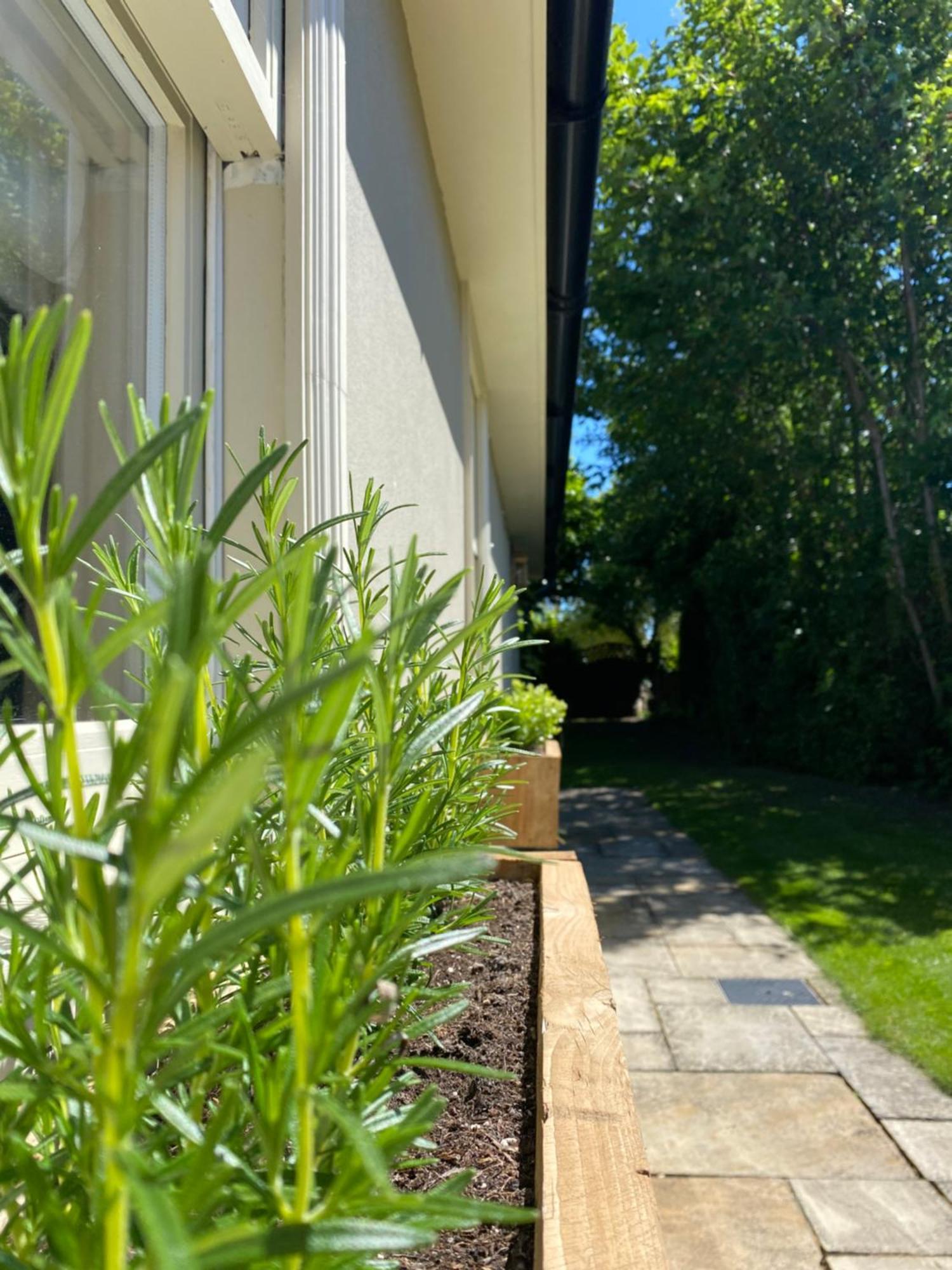 Enchanting 1 Bedroom Home With Kitchen Saffron Walden Exteriér fotografie